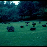 Morgan Bulkeley'swork, Sculpture Field